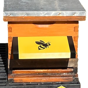 May include: A wooden beehive with a metal top. The hive is painted orange and has a yellow panel with a black bee illustration. The hive sits on a black base with a yellow and black number 8 symbol.