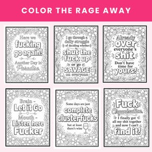 May include: A set of six black and white coloring pages titled Color The Rage Away. Each page features intricate floral borders surrounding bold text with phrases like Here we fucking go again, I go through a daily struggle, and Fuck Organization.