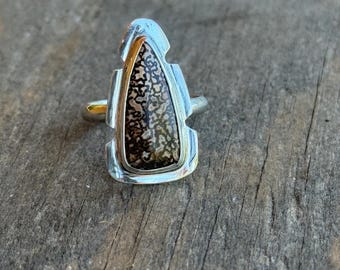 Fossilized Dinosaur Bone Ring