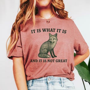 Op de afbeelding: Een stoffig roze t-shirt met een vos illustratie. De tekst "IT IS WHAT IT IS" staat boven de vos en "AND IT IS NOT GREAT" staat eronder. Het shirt is gemaakt van zacht materiaal.