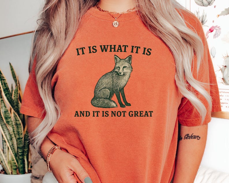 Op de afbeelding: Oranje T-shirt met de tekst "IT IS WHAT IT IS AND IT IS NOT GREAT" en een illustratie van een vos. Het shirt is effen oranje van kleur en heeft een ronde hals. De tekst en de vos zijn zwart.
