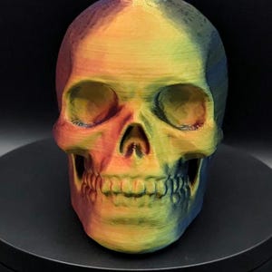 Könnte beinhalten: Ein regenbogenfarbener, 3D-gedruckter menschlicher Schädel. Der Schädel ist eine realistische Darstellung eines menschlichen Schädels mit sichtbaren Augenhöhlen, einer Nase und Zähnen.