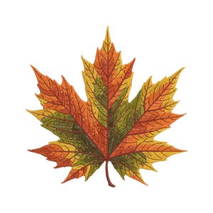 Autumn Maple Leaf Embroidery Design, Perfect for Fall Home Decor & Gifts, High-Quality Embroidery for Any Project! Maple Pattern PES DST EXP