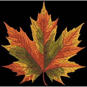 Autumn Maple Leaf Embroidery Design, Perfect for Fall Home Decor & Gifts, High-Quality Embroidery for Any Project! Maple Pattern PES DST EXP