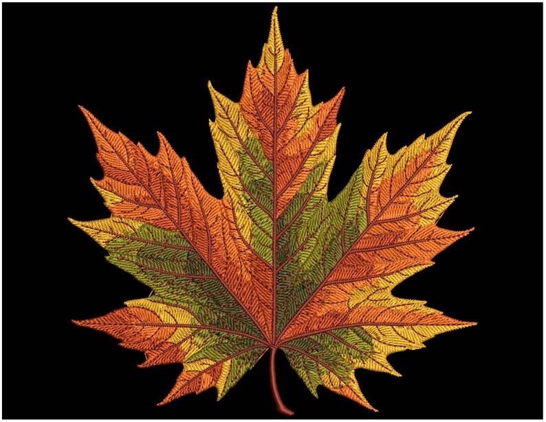 Autumn Maple Leaf Embroidery Design, Perfect for Fall Home Decor & Gifts, High-Quality Embroidery for Any Project! Maple Pattern PES DST EXP