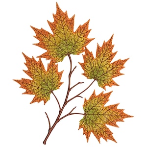 Puede incluir: Diseño bordado de hojas de arce otoñales en tonos naranja, amarillo y verde. Las hojas están unidas a una rama marrón, creando una imagen con temática otoñal. El diseño es probablemente para manualidades o fines decorativos.