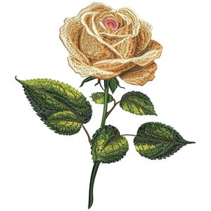 May include: Embroidered rose with a cream-colored bloom and a pink center. The flower has detailed stitching, with green and yellow leaves and a dark green stem. The design is set against a white background.