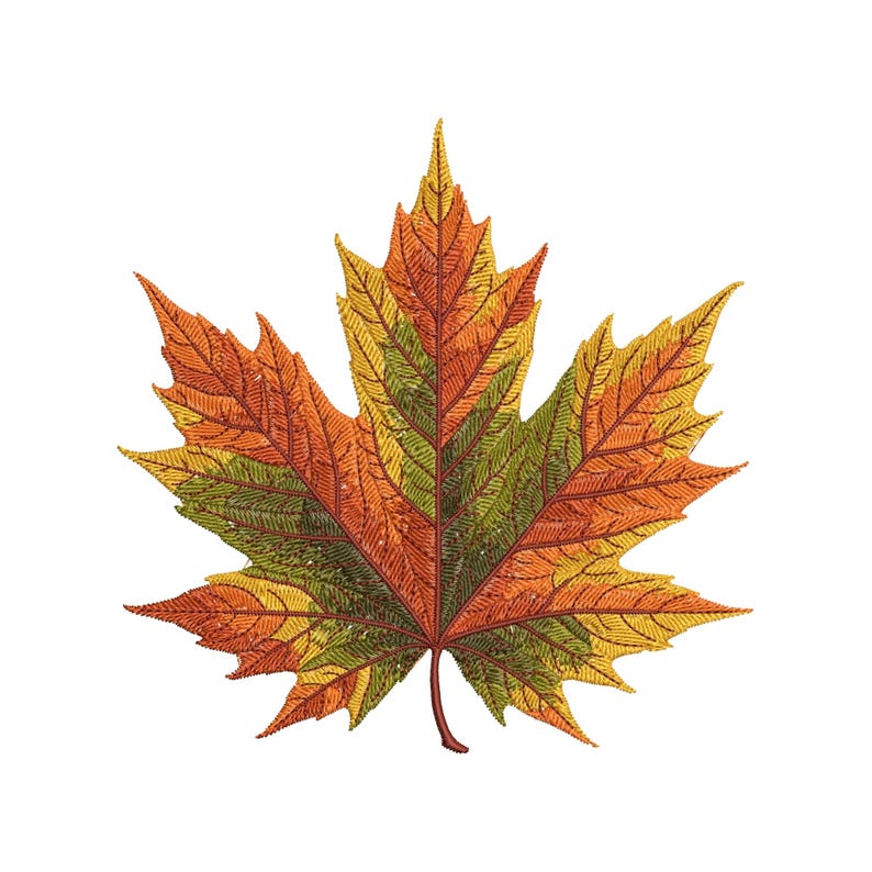 Autumn Maple Leaf Embroidery Design, Perfect for Fall Home Decor & Gifts, High-Quality Embroidery for Any Project! Maple Pattern PES DST EXP