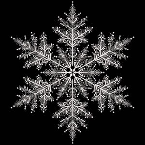 Snowflakes Machine Embroidery Design, Christmas Snowflakes Set in 4 sizes, Christmas Embroidery Design, Instant Download PES DST JEF VP3