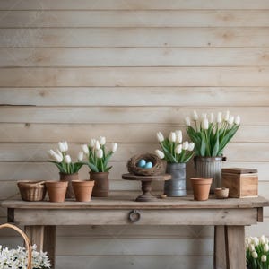 May include: A rustic wooden table with white tulips in terracotta pots, a bird's nest with blue eggs, and a wooden box.