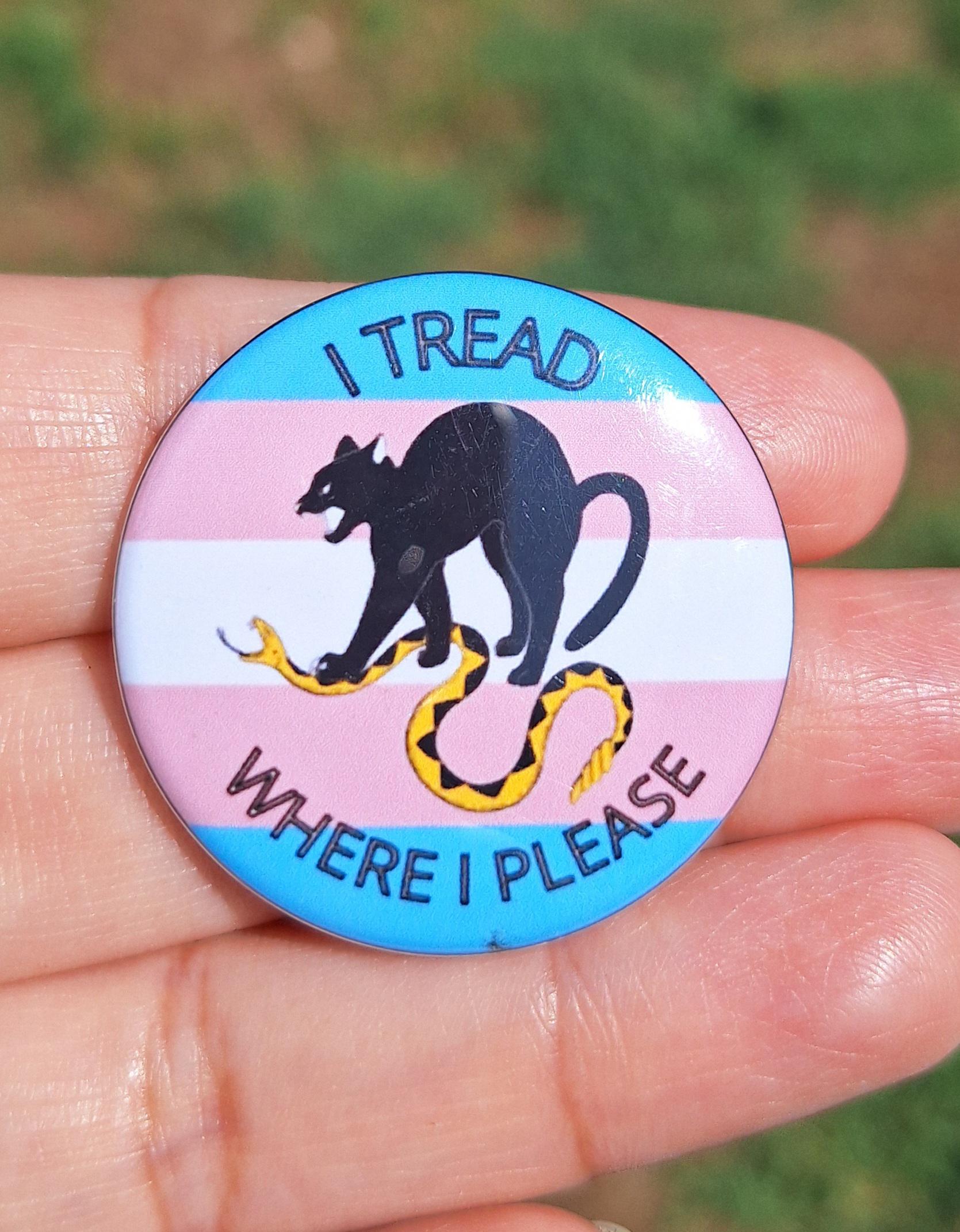 Bold Trans Pride Buttons 1.5