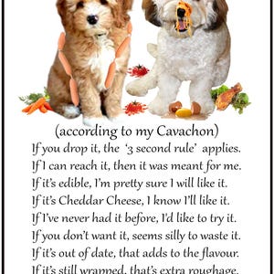 Cavachoncadeau - koelkastregels volgens mijn hond - grote nieuwe flexibele koelkastmagneet - formaat 6 x 4 inch