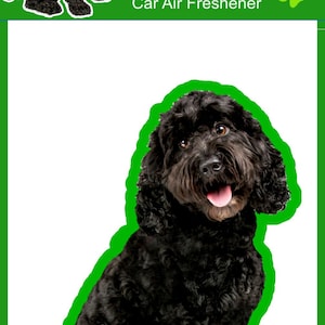 May include: A black Cockapoo dog sitting with its tongue sticking out. The dog is in front of a green background with the text "Smelly Dogs" and "Cockapoo - Black Car Air Freshener".