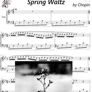 Spring Waltz piano sheet music 7pages,, printable music, classic music gift, music lover gift, music notes, music print