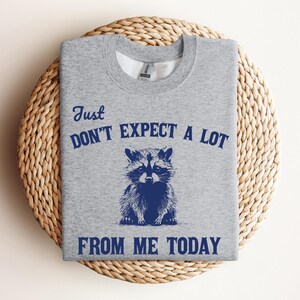 Don't Expect A Lot From Me Today Retro Graphic Shirts, Vintage Meme Sweatshirt, Silly Gifts, Raccoon Meme, Raccoons, Y2k Clothes image 2