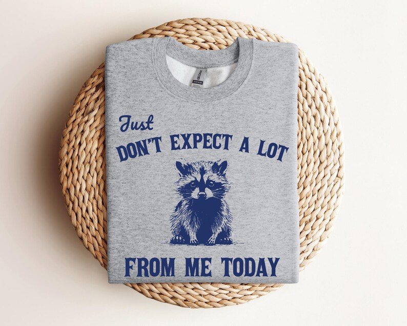 Don't Expect A Lot From Me Today Retro Graphic Shirts, Vintage Meme Sweatshirt, Silly Gifts, Raccoon Meme, Raccoons, Y2k Clothes image 2