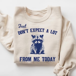 May include: A beige sweatshirt with a blue graphic of a raccoon and the text "Just Don't Expect A Lot From Me Today".
