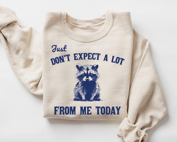 Don't Expect A Lot From Me Today Retro Graphic Shirts, Vintage Meme Sweatshirt, Silly Gifts, Raccoon Meme, Raccoons, Y2k Clothes