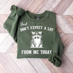 Don't Expect A Lot From Me Today Retro Graphic Shirts, Vintage Meme Sweatshirt, Silly Gifts, Raccoon Meme, Raccoons, Y2k Clothes image 3