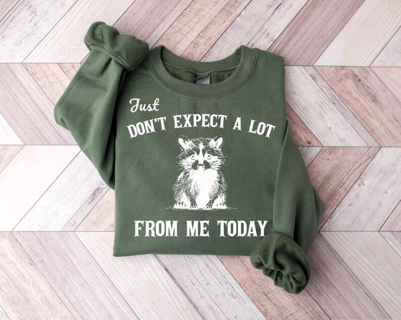 Don't Expect A Lot From Me Today Retro Graphic Shirts, Vintage Meme Sweatshirt, Silly Gifts, Raccoon Meme, Raccoons, Y2k Clothes image 3