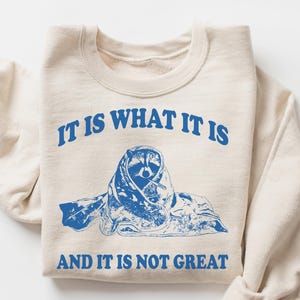 It Is What It Is And It Is Not Great Retro Graphic Shirts, Mental Health Sweatshirt, Funny Sweatshirt Women, Meme Sweatshirt, Raccoon Shirt