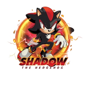May include: A digital illustration of Shadow the Hedgehog, a black hedgehog with red accents, in a dynamic pose. The character is set against a fiery orange and red background with the text "SHADOW THE HEDGEHOG" in bold red letters.