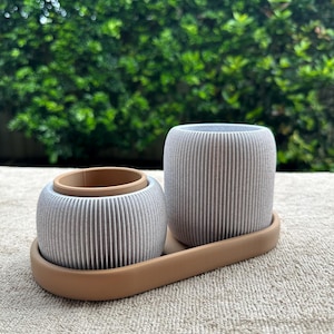 Pen Holder with Planter – Desk Organizer & Mini Plant Pot Set