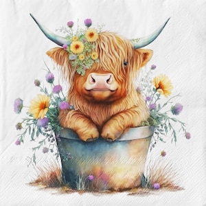Servilletas de papel estampadas con vaca de las Tierras Altas en un comedero, para decoupage y manualidades, servilletas de 2 capas, decoración de mesa