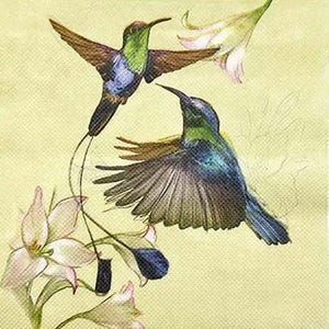 V-5 serviettes en papier imprimées colibris en vol, pour découpage et travaux manuels, serviettes de table 2 épaisseurs, décoration de table
