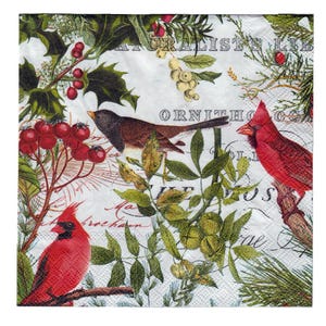 D-9 Christmas Cardinal Bedruckte Papierservietten, für Decoupage & DIY Crafts, 2-lagige Servietten, Tischdekoration