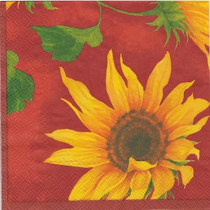 May include: A red background with a large yellow sunflower in the center. The sunflower has a dark brown center and green leaves. There are green leaves in the top left corner of the image.