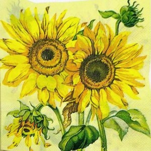M-4r Sunflowers Large Printed Paper Napkins, for Decoupage & DIY Crafts, 2-Ply dinner napkins, Table Decor