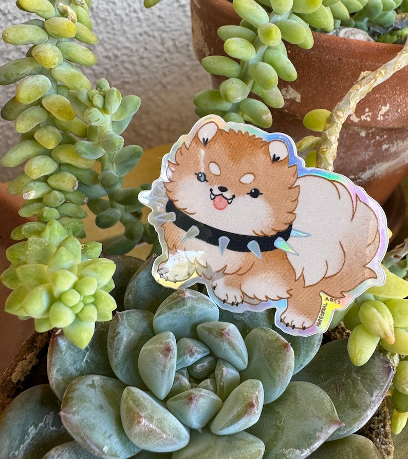 A photo of the sticker resting on succulents. Its a drawing of a pomeranian wearing a spiked collar. Its orange and cream with holo effects on the border and collar.