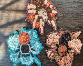 Tarantula Patch - AZ Blonde Fireleg Redrump