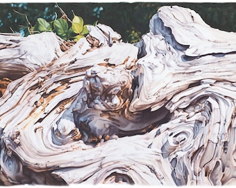 photo-realist art print of driftwood altar