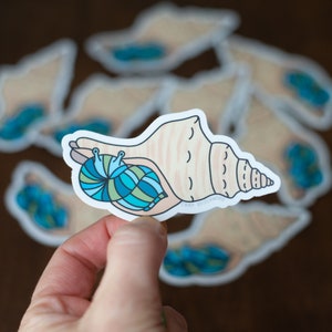May include: A sticker of a hermit crab in a shell with a blue and green patterned shell. The sticker is on a white background and has the text "Camp Stitchwood" on it.