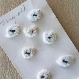 May include: A close-up of a white card with the word "Sew Gold" written on it. There are ten white fluffy buttons with black centers attached to the card.