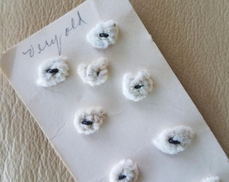May include: A close-up of a white card with the word "Sew Gold" written on it. There are ten white fluffy buttons with black centers attached to the card.