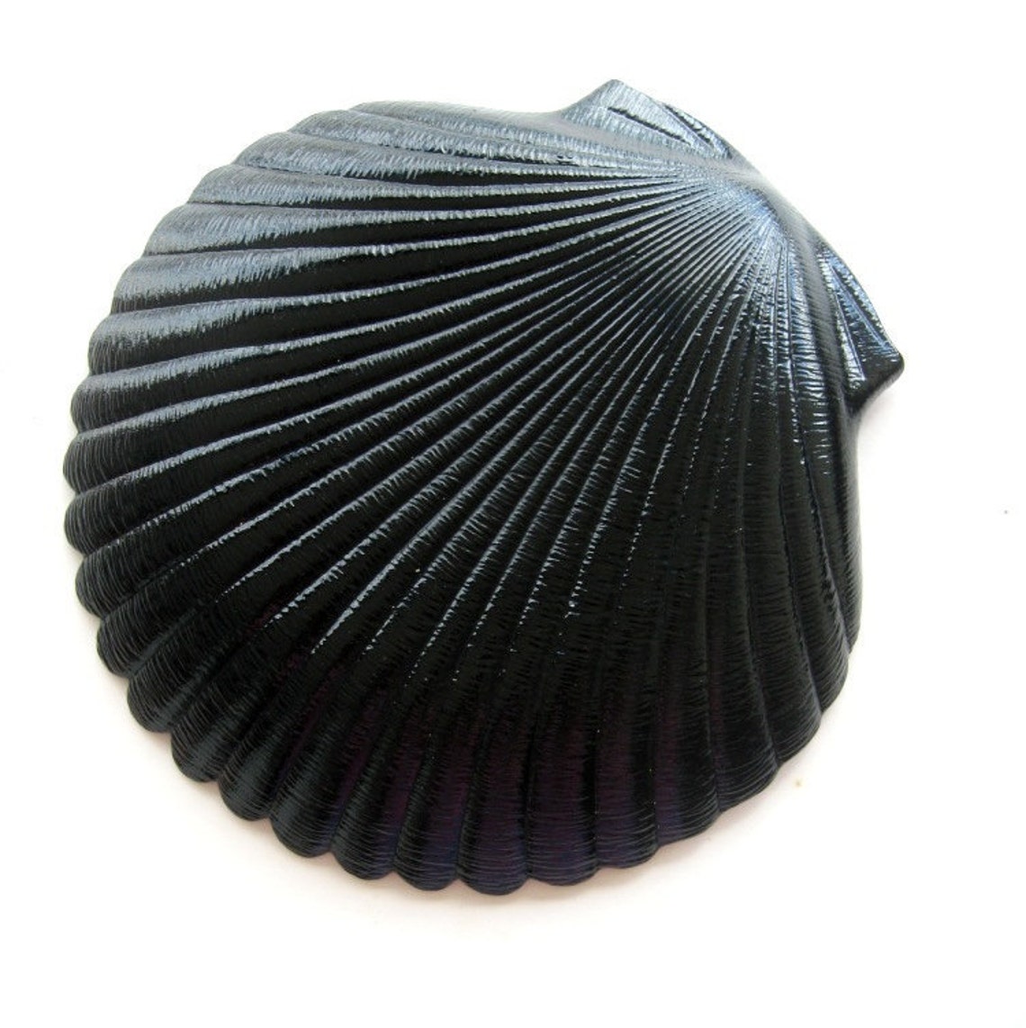 Vintage Shell Plate Dish Black Shell Clam Shell Set of Four Etsy