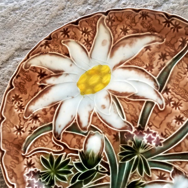 Vintage Majolica Floral Plate Clematis Art Deco Schramberg Villeroy and Boch Brown White 1910