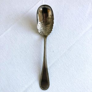 May include: A silver spoon with an oval bowl and a long, slender handle. The bowl features an ornate, engraved floral design. The handle is detailed with a beaded edge.
