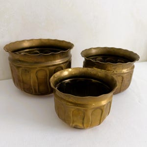 May include: A set of three brass planters with a metallic gold finish. Each planter features a rounded body with vertical indentations and a scalloped, wavy rim. The three containers vary in size, arranged with the largest in the back left.
