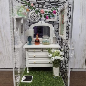 Large Jumping Spider Enclosure