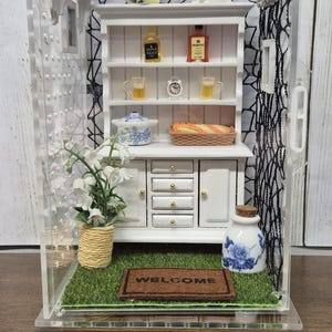 Large Jumping Spider Enclosure