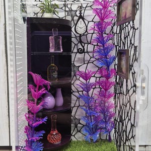 Large Jumping Spider Enclosure