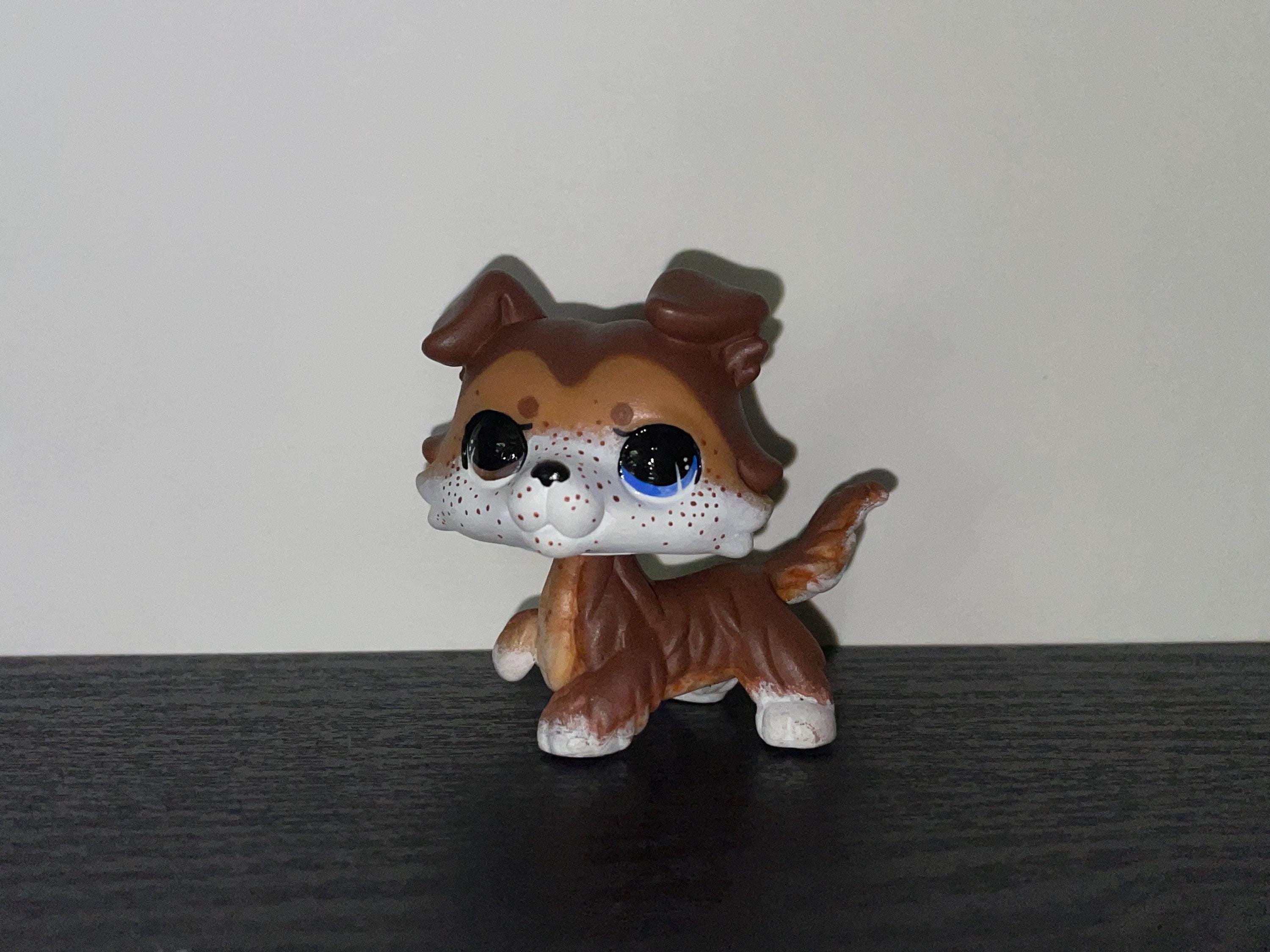 Littlest Pet Shop Custom Paw-Up Collie