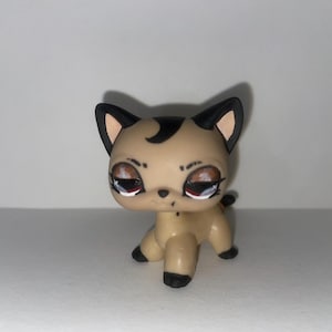 Littlest Pet Shop Custom Cat