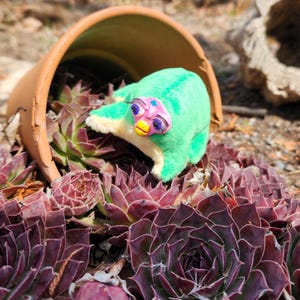 May include: A green plush toy with a pink and purple face and yellow beak rests among dark red succulent plants. The toy is partially inside a terracotta pot, creating a whimsical garden scene.