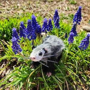 handmade virginia opossum art doll, posable animal plush figure, see description!