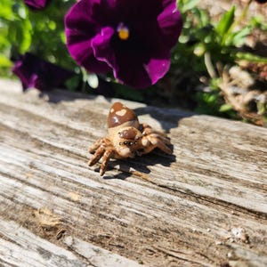 jumping spider figure handmade polymer clay miniature figurine